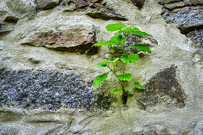 mich hält nichts auf...