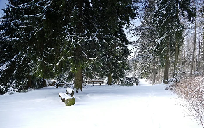 Winter in the Vogtland
