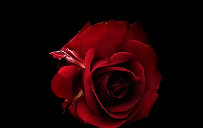 rot trifft auf schwarz