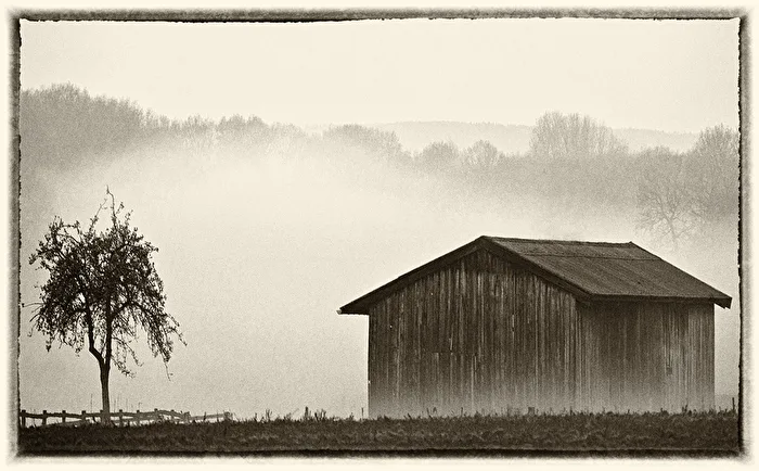 AT THE RAUSCHENBURG (Retro)