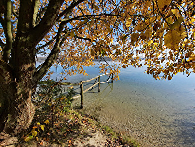 Herbstspaziergang
