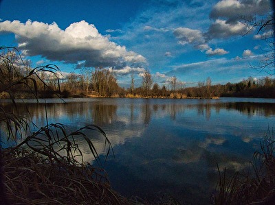Teichlandschaft