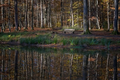 ohne Titel