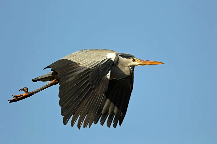 In the air!