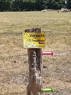 ohne Titel