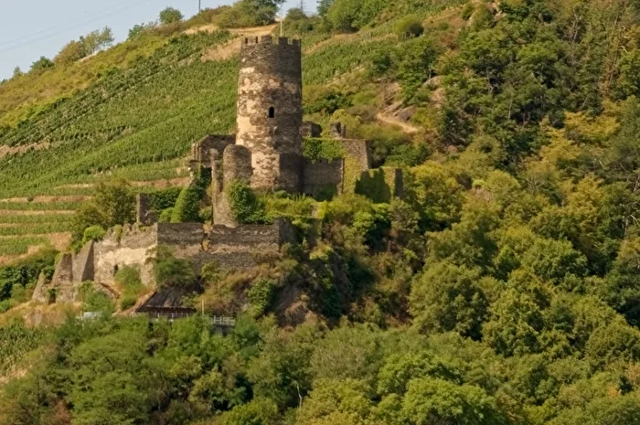 Ruine Fürstenberg