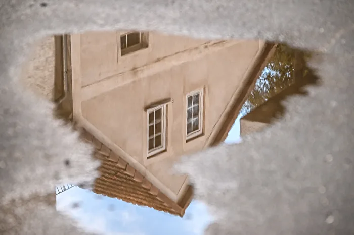 Spiegelung in der Pfütze