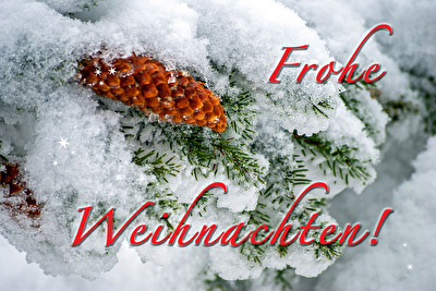 ... Euch Allen!