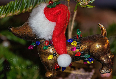 FROHE WEIHNACHTEN an die tollen Fotografen und die Admins