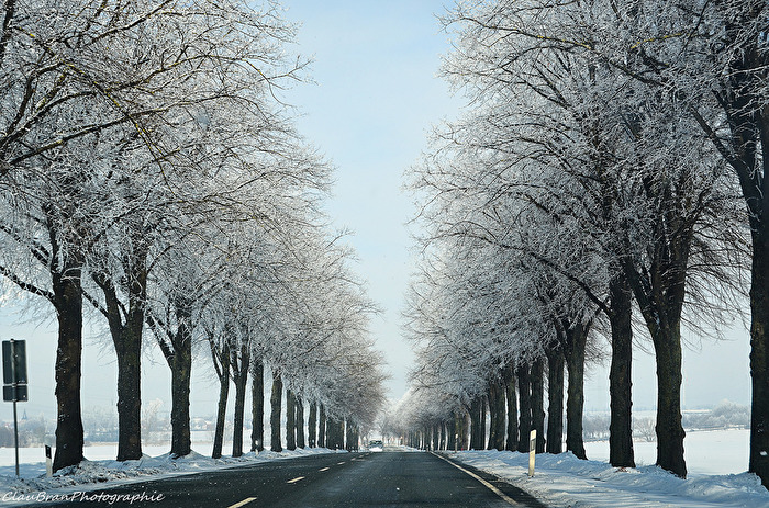 Winterallee