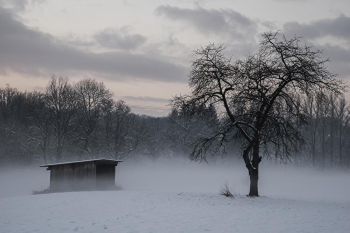 Nebel