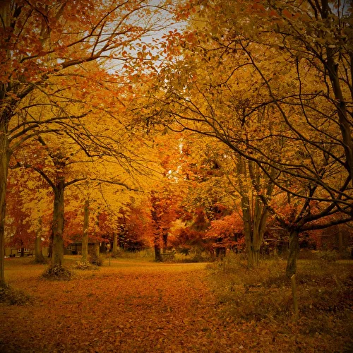 Autumn Colors