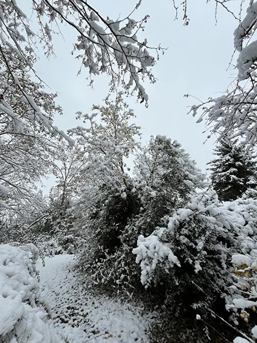 Winteranfang