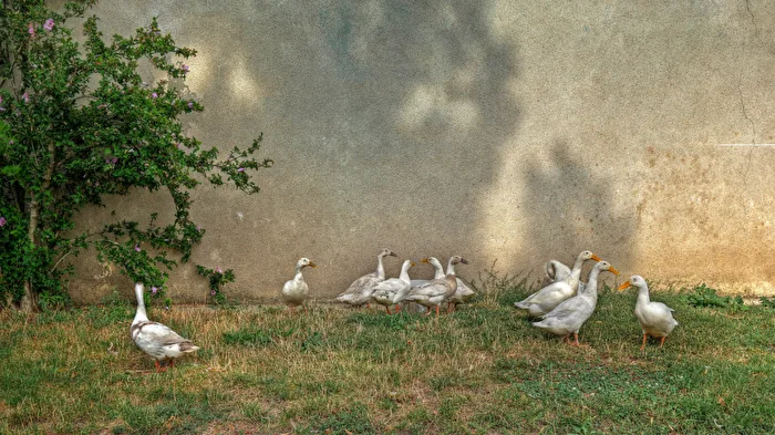 Gruppendynamik