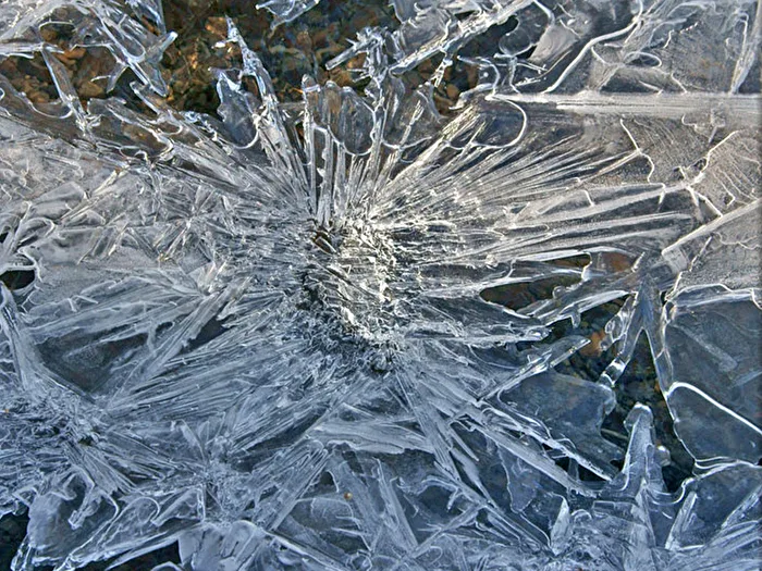 Ice Flower