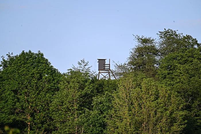 Hochsitz