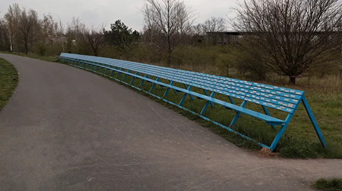 The Blue Bench