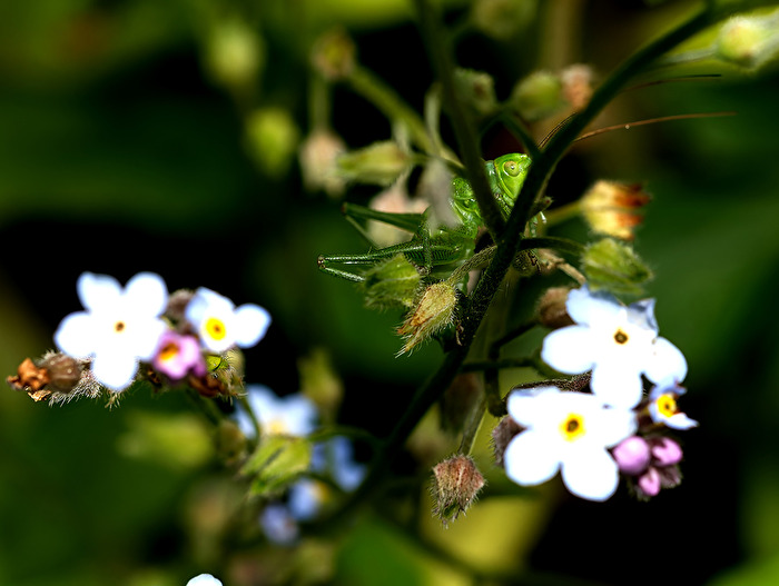 Verstecken lohnt sich nicht