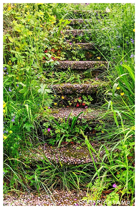 Stairs 2