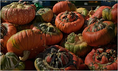 Herbstfrüchte