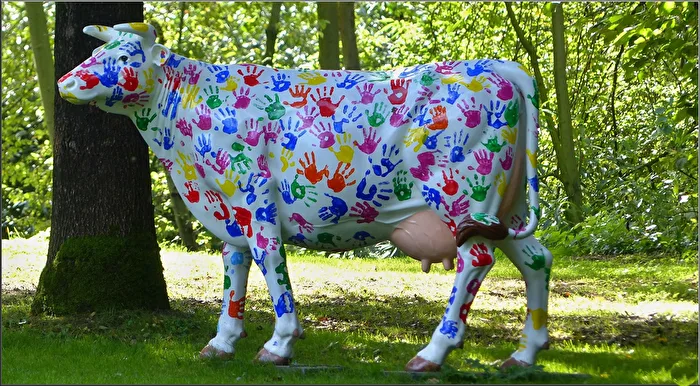...known like a colorful cow