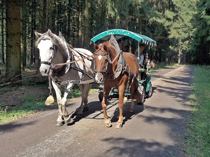 con 2 caballos de fuerza....