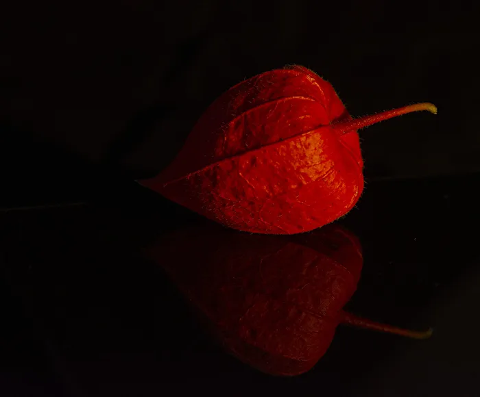 Autumn Magic...