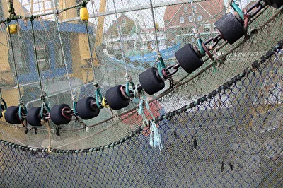 Zum Trocknen aufgehievt...