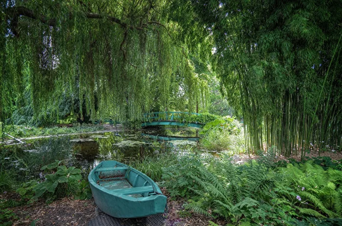 Water lily pond