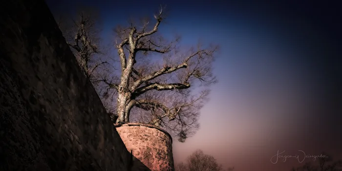 Gardien du crépuscule
