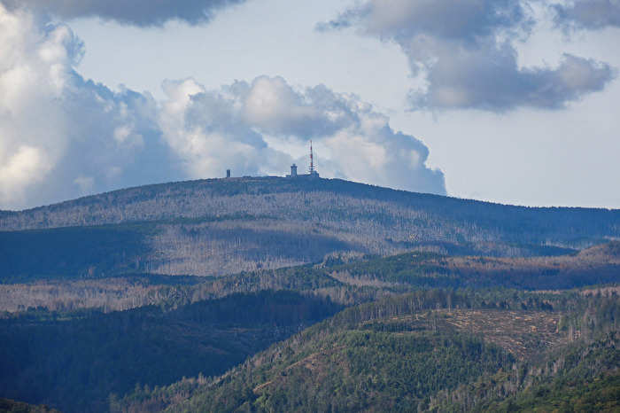 Blick zum Brocken