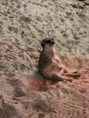 Im Sitzen
