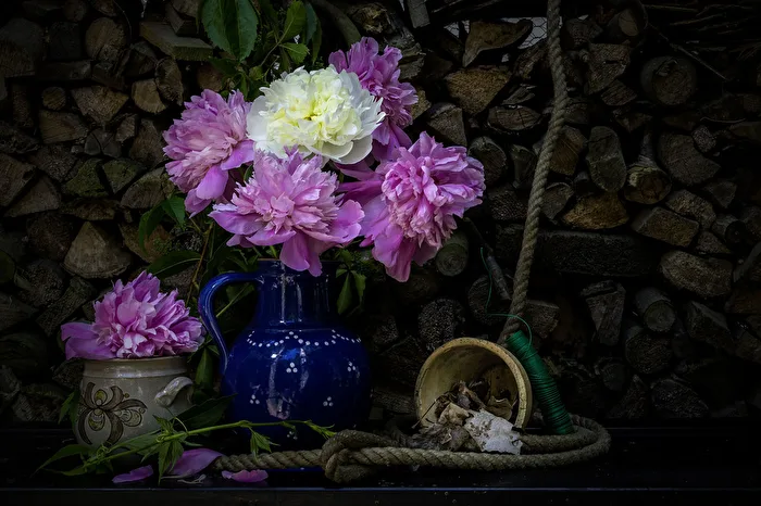 Peonies