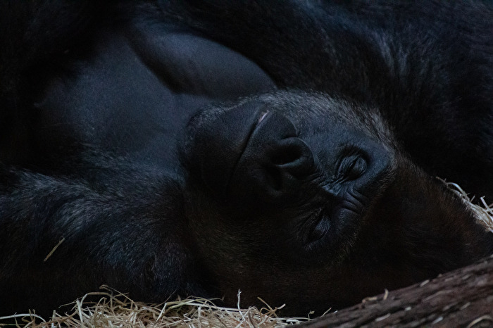 ... good night, sleep tight