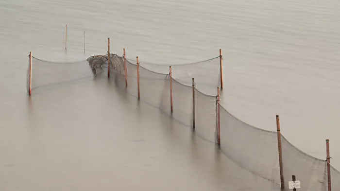 Reusenfischerei auf Sylt