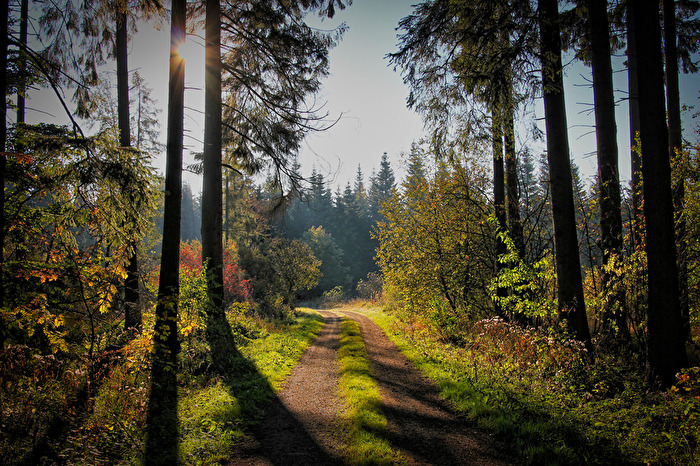 Herbst 1