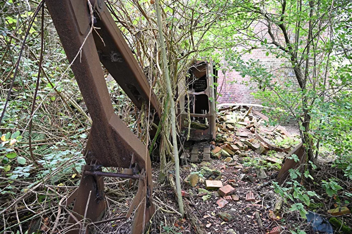 Vergessener Schaufelbagger