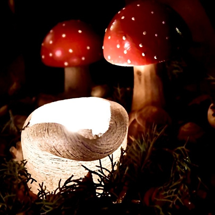 Ein Männlein steht im Walde….