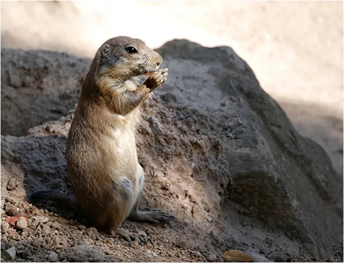 Meal time