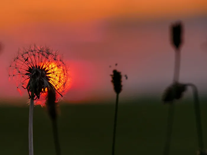Sonniger Abend