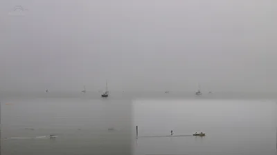 Nebelgeschichten