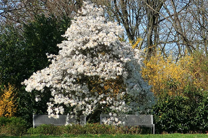 Frühling