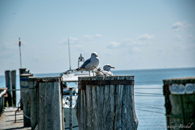 Einer muss ja aufpassen