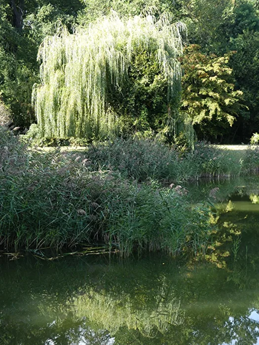 Tardo estate al lago