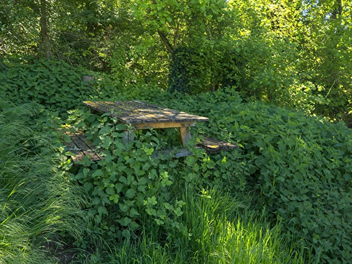 Picnics - an ideal spot...