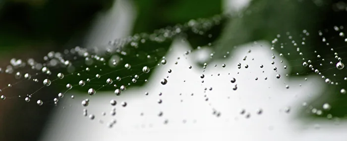 Drops 3