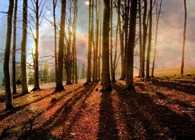 Lange Schatten