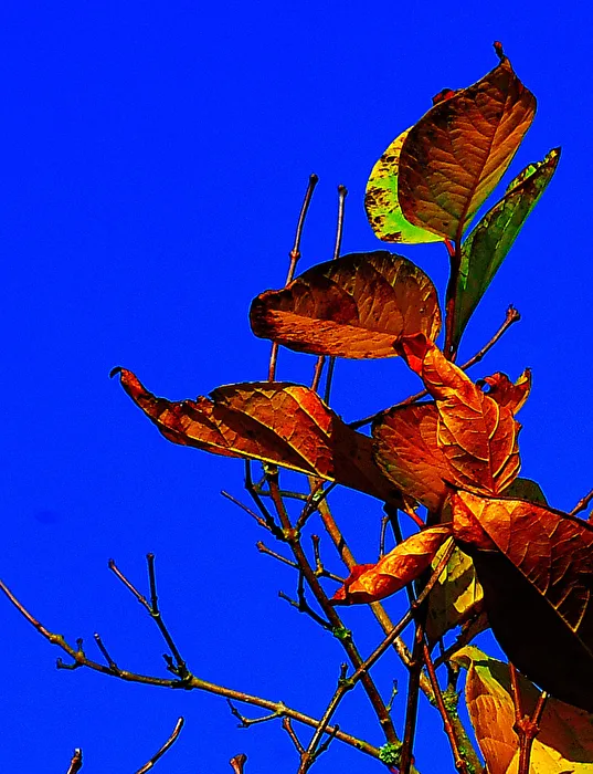 Herbstfarben