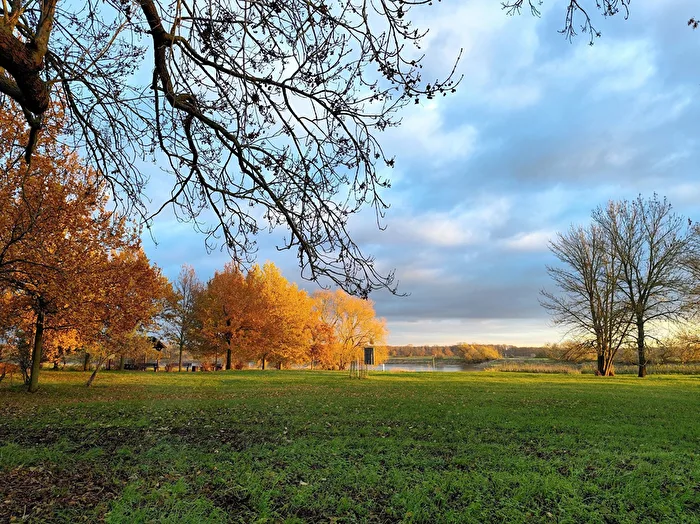 Elbvorland
