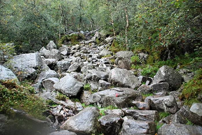 Wegweiser
